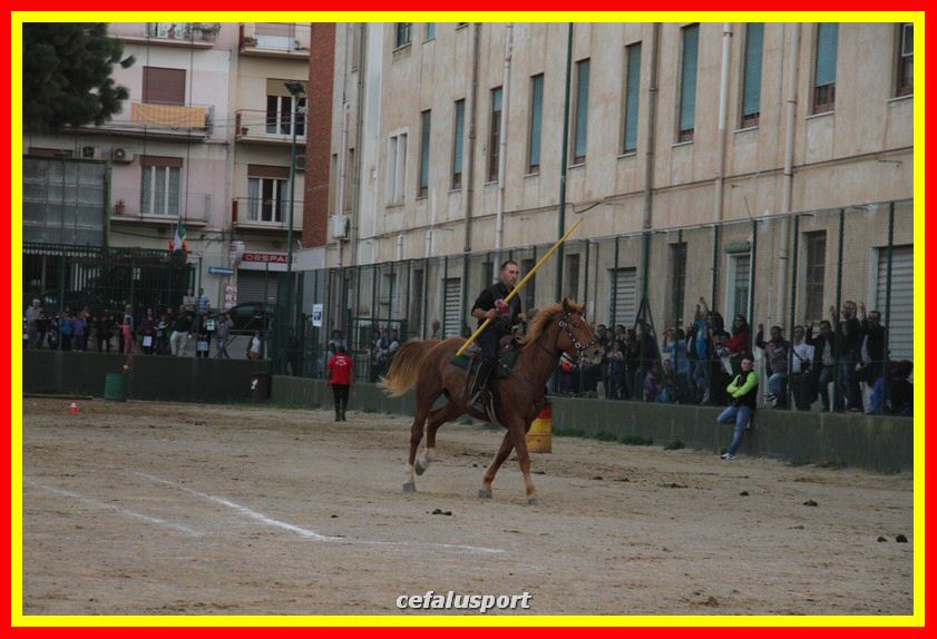 161106 equestre 055_tn.jpg